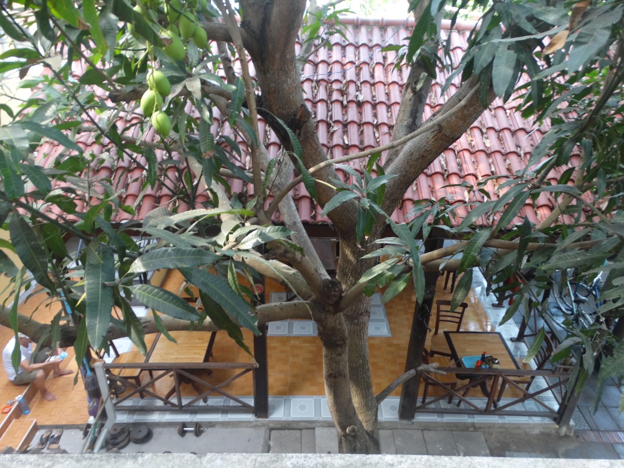 Yellow House Homestay Hoi An Exterior photo