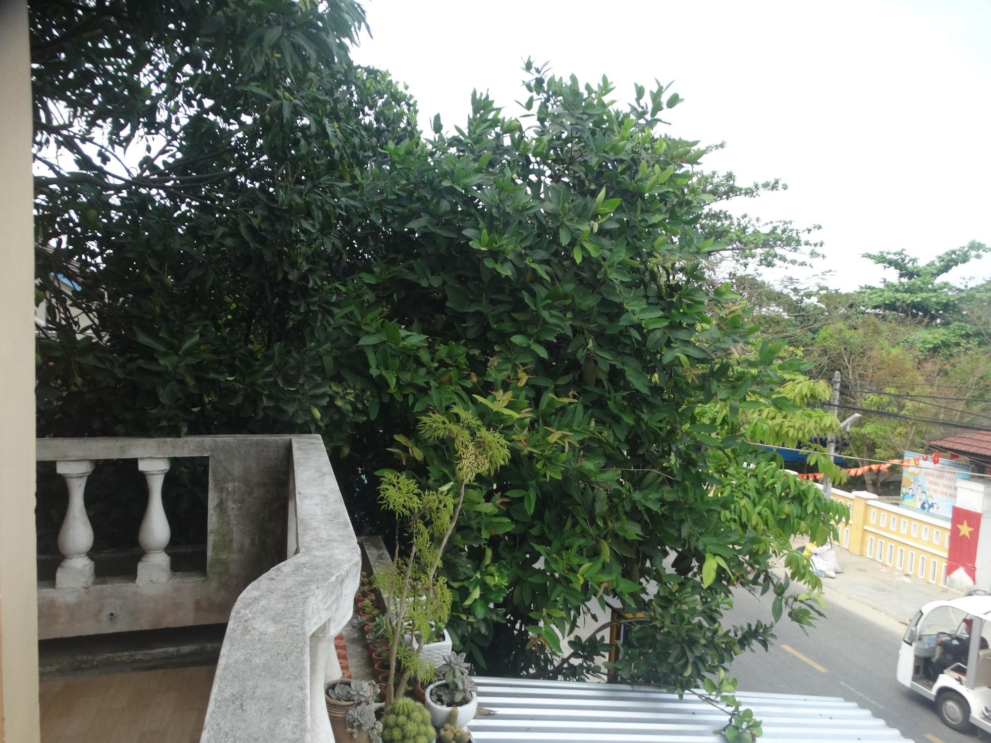 Yellow House Homestay Hoi An Exterior photo